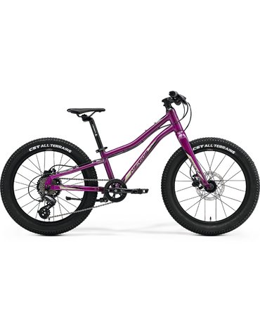 Велосипед 20" Merida MATTS J.20+ (2023) purple UNI (10) 109-129 см