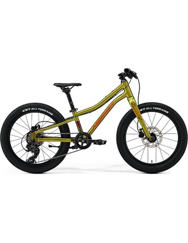Велосипед 20" Merida MATTS J. 20 Plus (2025) fall green 10" (109-129 cm)