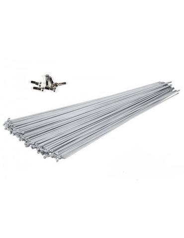 Спиця  CSC BNRB-SR14G, BR, 294MM срібні