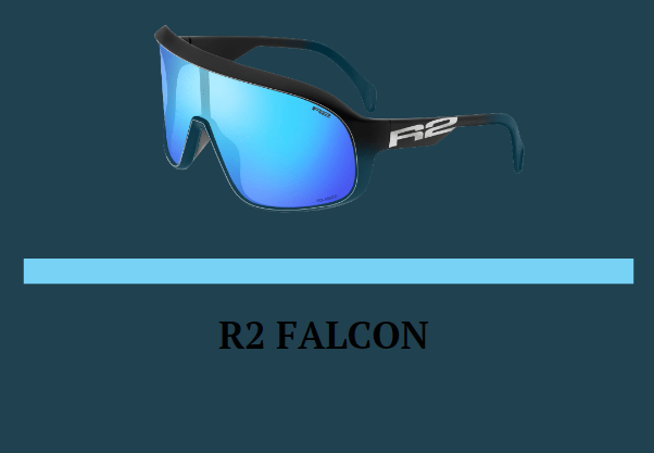 Окуляри R2 FALCON оправа матова чорно-синя лінзи grey Polarized з покрит. Blue Revo (CAT. 3) купити в Україні